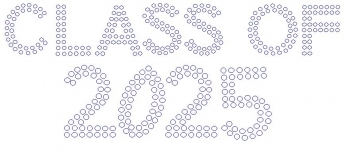 Class of 2025 Rhinestone Transfer
