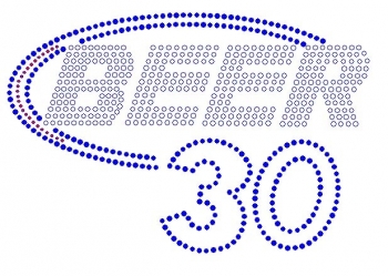 Beer 30 Rhinestone Transfer