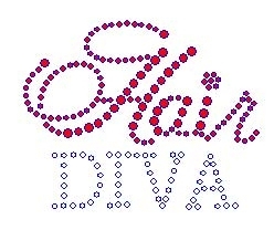 Hair Diva small rhinestone transfers