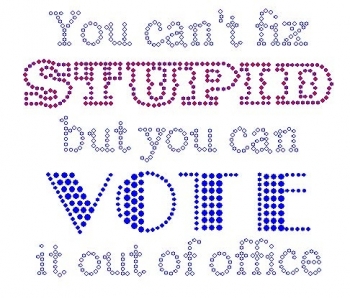 You Can't Fix Stupid but You Can Vote it out of Office  Rhinestone Transfer
