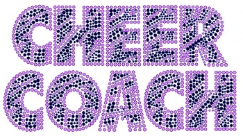 Cheer Coach Zebra Rhinestone Transfer