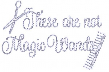 These are Not Magic Wands Rhinestone Transfer