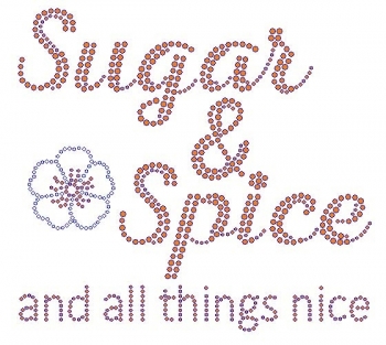 Sugar & Spice and all things nice Rhinestone Transfer