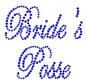 Brides Posse Rhinestone Transfer