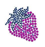 Small Strawberry Rhinestone Transfer fest