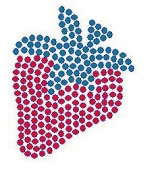 Strawberry  Rhinestone Transfer