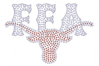 FFA with orange Longhorn Rhinestone Transfer