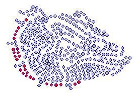 Bulldogs Mascot rhinestone transfer