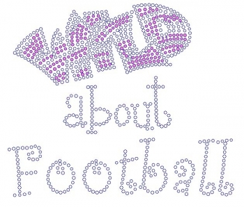 Wild About Football Rhinestone Transfer