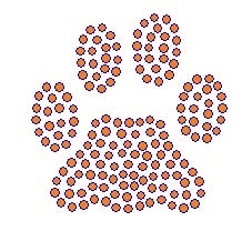 Paw rhinestone transfer